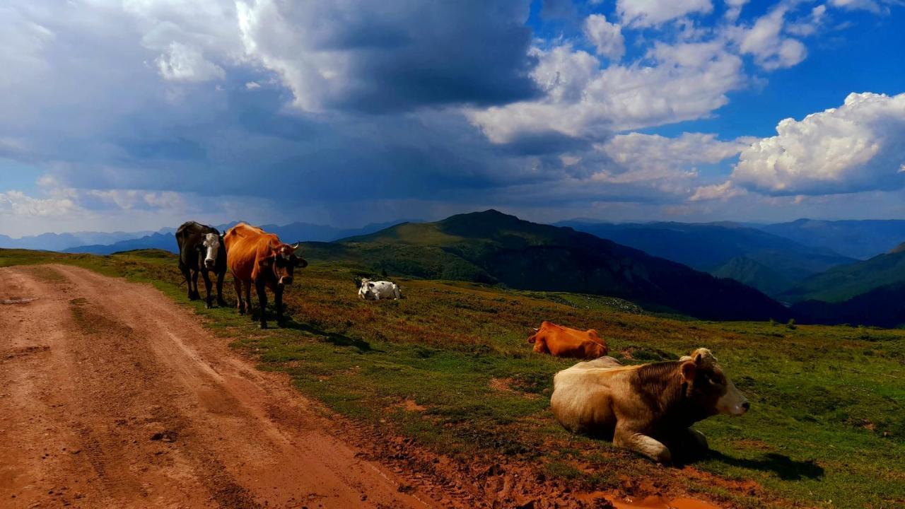 Etno Village Coric 모이코바츠 외부 사진