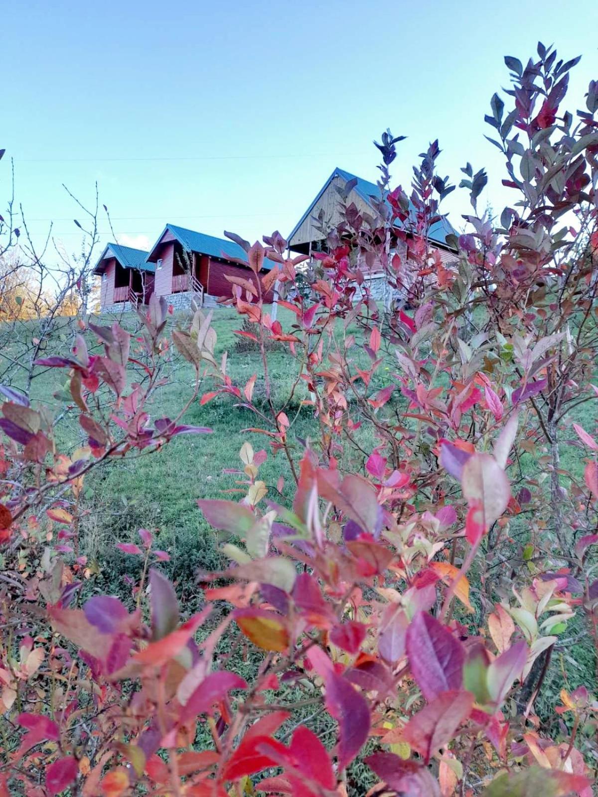 Eco Village Coric 모이코바츠 외부 사진