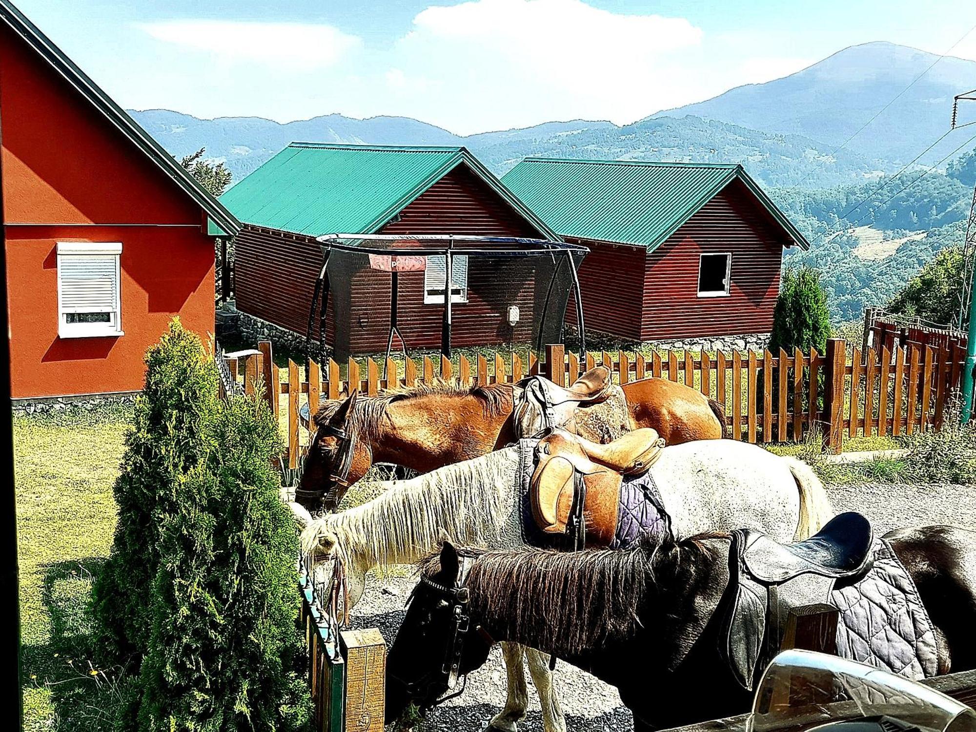 Etno Village Coric 모이코바츠 외부 사진