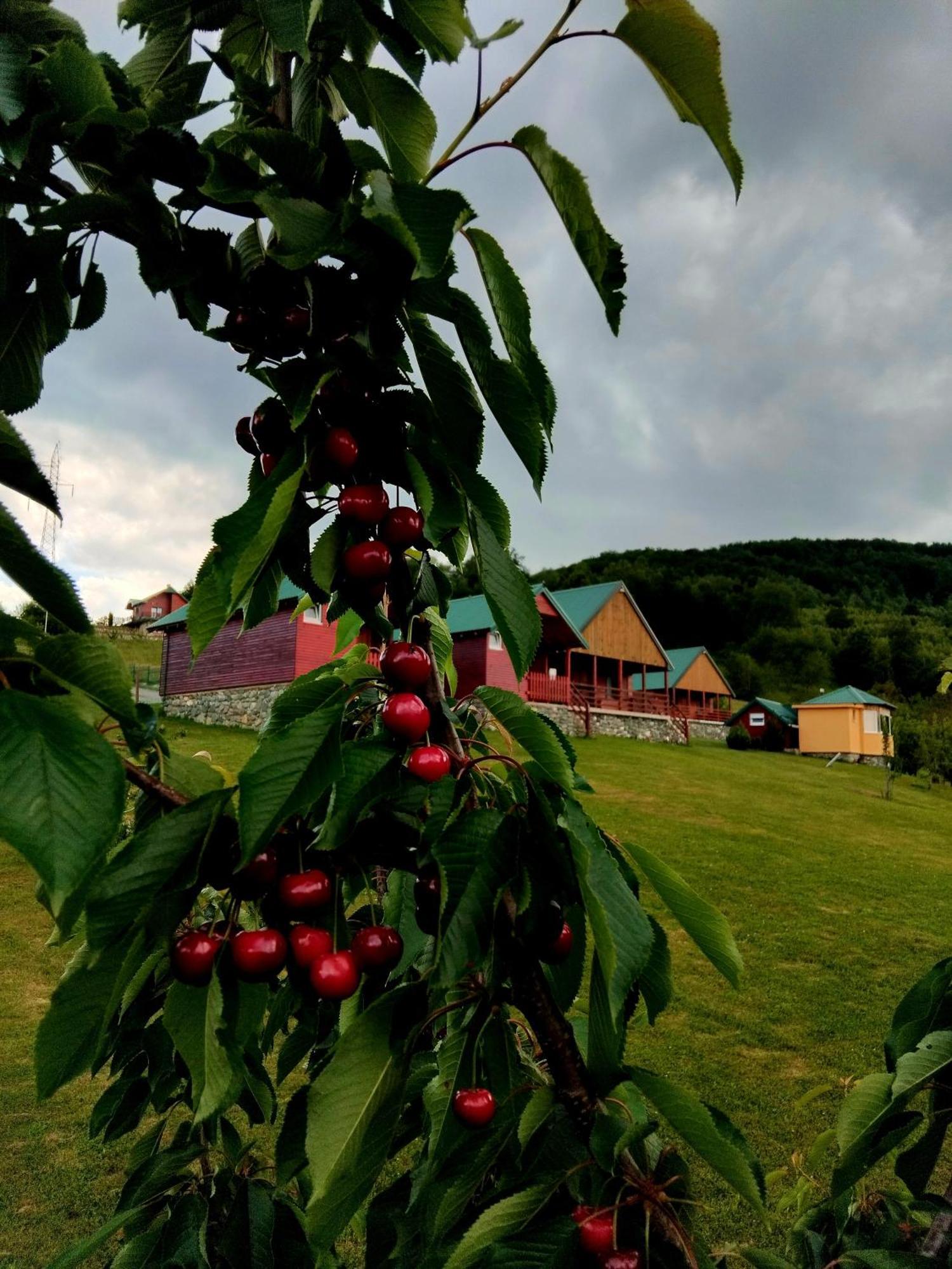 Etno Village Coric 모이코바츠 외부 사진