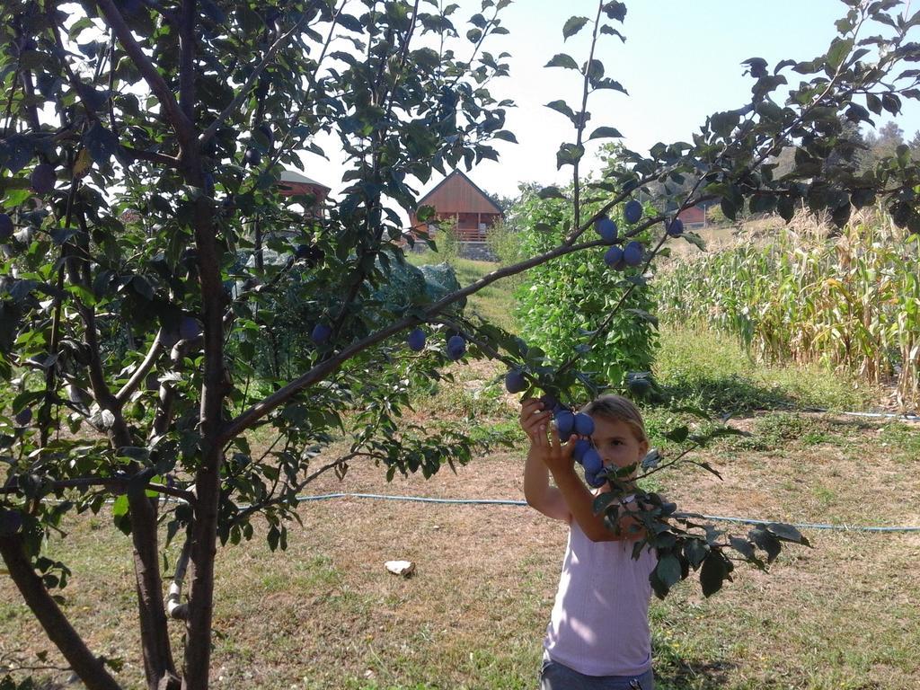 Etno Village Coric 모이코바츠 외부 사진